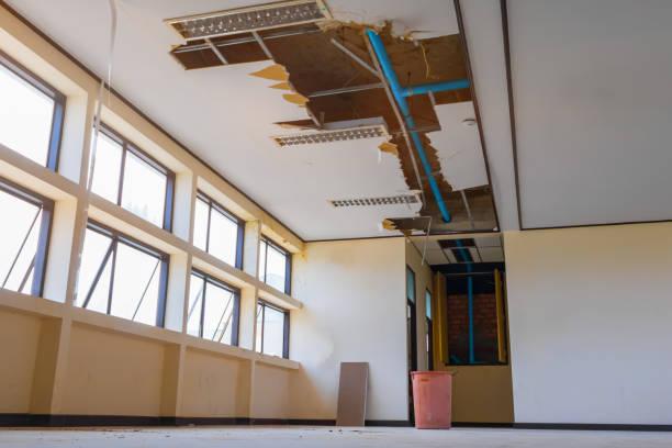 Best 24/7 water damage repair  in Lake Odessa, MI