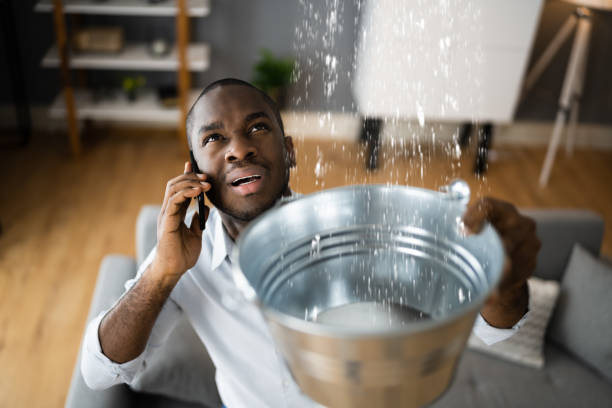 Best Basement water damage restoration  in Lake Odessa, MI