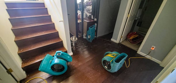 Best Water damage restoration near me  in Lake Odessa, MI