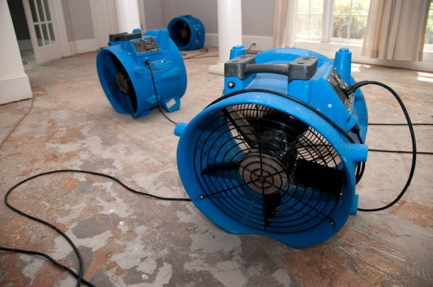 Best Flood damage cleanup  in Lake Odessa, MI