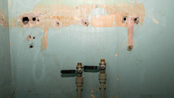 Best Flooded house restoration  in Lake Odessa, MI