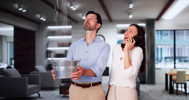 Best 24-hour water damage restoration  in Lake Odessa, MI